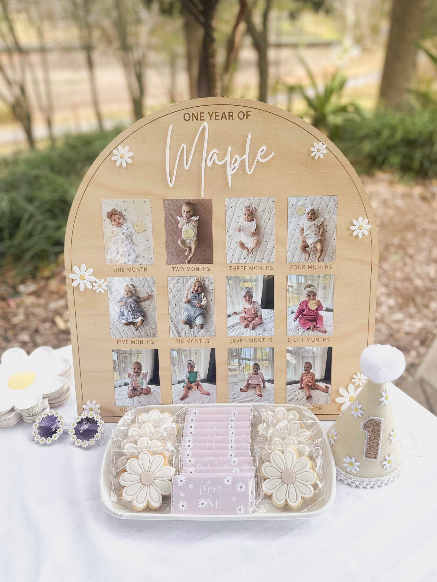 First Birthday Photo Board - Daisy