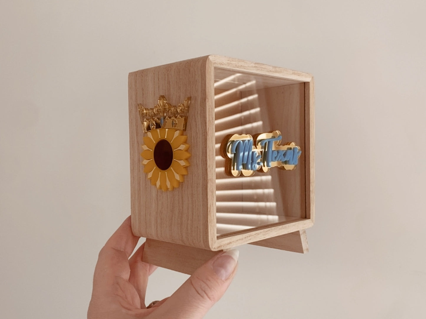 Money Box Piggy Bank custom design