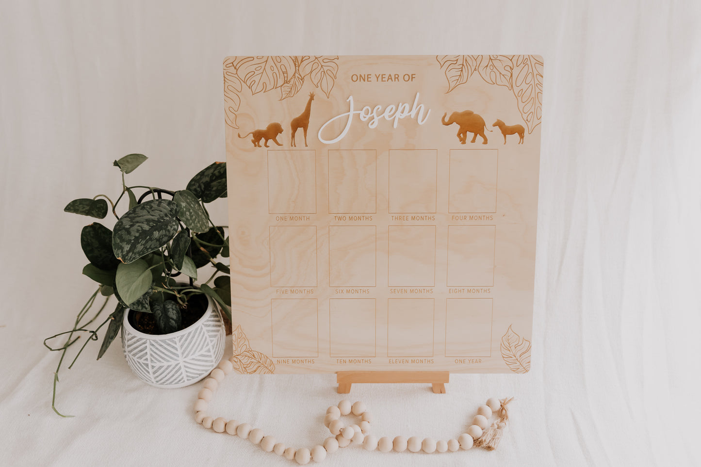 First Birthday Photo Board - Jungle Animals